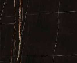Керамогранит Ariostea Ultra Marmi Sahara Noir Lev Silk 120x120